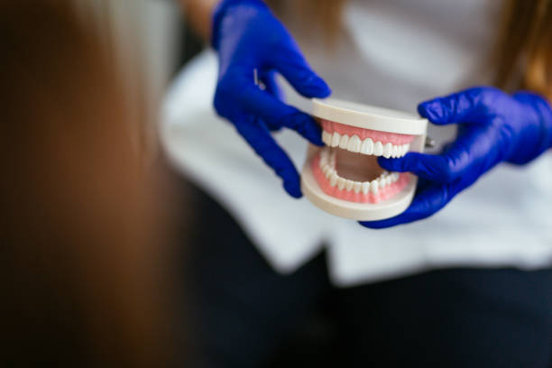 Best Preventive Dentistry  in Cheval, FL