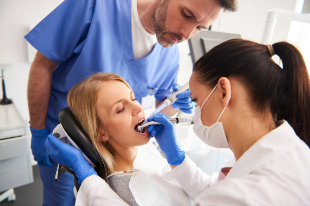 Cheval, FL  Holistic Dental Services Company