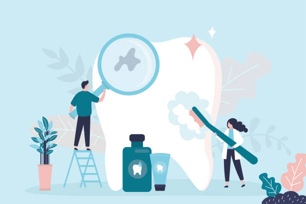 Best Dental Fillings (Composite and Amalgam)  in Cheval, FL