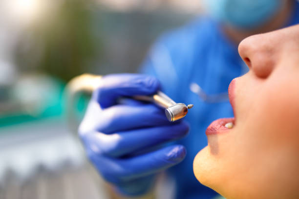 Best Dental Exams and Cleanings  in Cheval, FL
